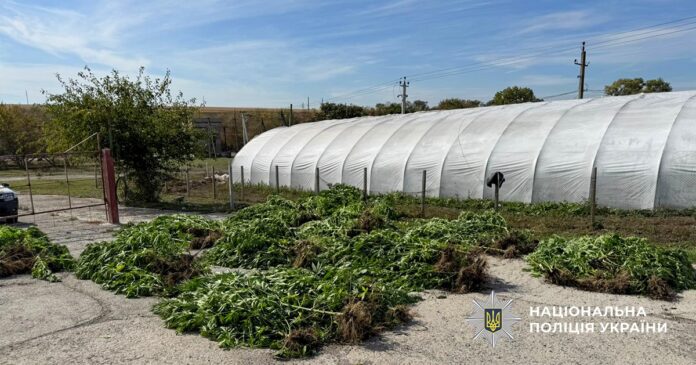 _Дніпропетровщина2